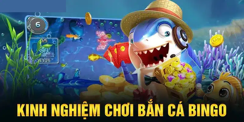 Hướng dẫn cách chơi bắn cá bingo cho người mới tham gia lần đầu